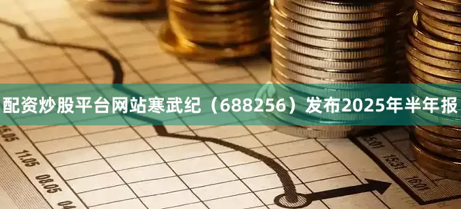 配资炒股平台网站寒武纪（688256）发布2025年半年报