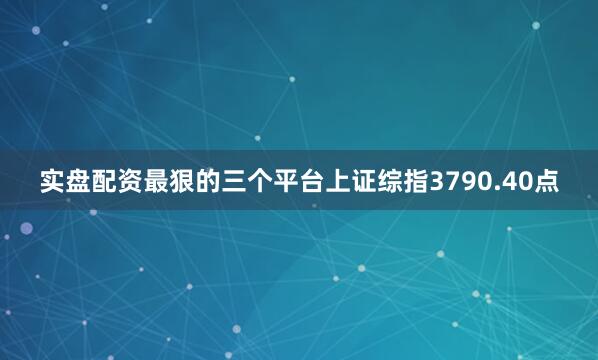 实盘配资最狠的三个平台上证综指3790.40点