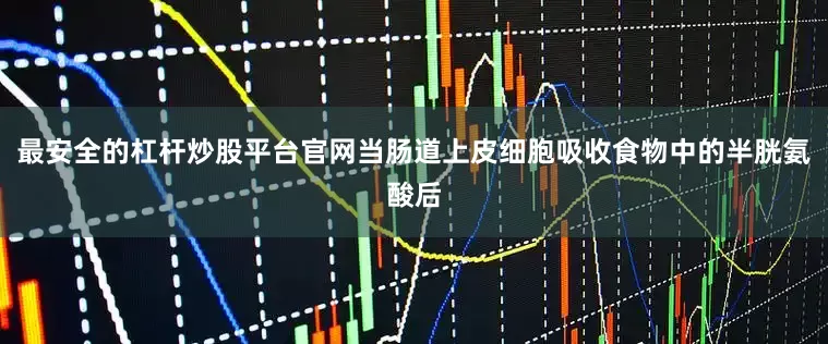 最安全的杠杆炒股平台官网当肠道上皮细胞吸收食物中的半胱氨酸后