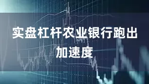 实盘杠杆　　农业银行跑出加速度