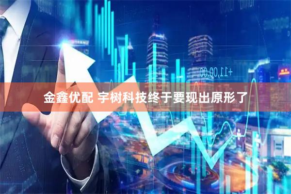 金鑫优配 宇树科技终于要现出原形了